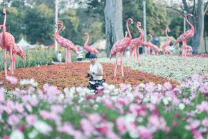 BIB: 
                            <button type="button" onclick="openModal(27344041)" class="btn btn-primary btn-sm float-right btn-popup" data-toggle="modal" data-target=".modal-high-quality">
                        <i class="fas fa-shopping-cart"></i> Add to Cart
                    </button>
                                            <button type="button" onclick="isThisMe(27344041, true)" class="btn btn-success btn-sm float-right btn-popup btn-isme hidden" data-toggle="tooltip" data-placement="bottom" title="นี่คือรูปของคุณใช่ไหม คลิกที่นี่เพื่อเอาเข้าอัลบั้ม">
                        <i class="fas fa-plus"></i> Add to album
                    </button>
                    <button type="button" onclick="isThisMe(27344041, false)" class="btn btn-warning btn-sm float-right btn-popup btn-isnotme hidden">
                        <i class="fas fa-ban"></i> Remove from album
                    </button>